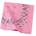 C842_BrightPinkPaisley_AA09_pg261