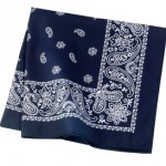 C842_NavyPaisley_AA09_pg261